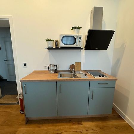 Boutique Hotel Pension Luisengruen Kueche 1Gbs Wlan Netflix Disney Magentatv ケムニッツ エクステリア 写真