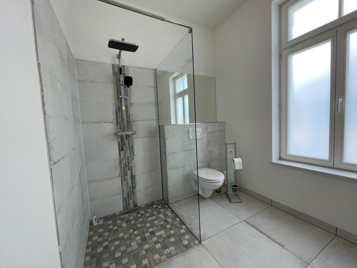 Boutique Hotel Pension Luisengruen Kueche 1Gbs Wlan Netflix Disney Magentatv ケムニッツ エクステリア 写真