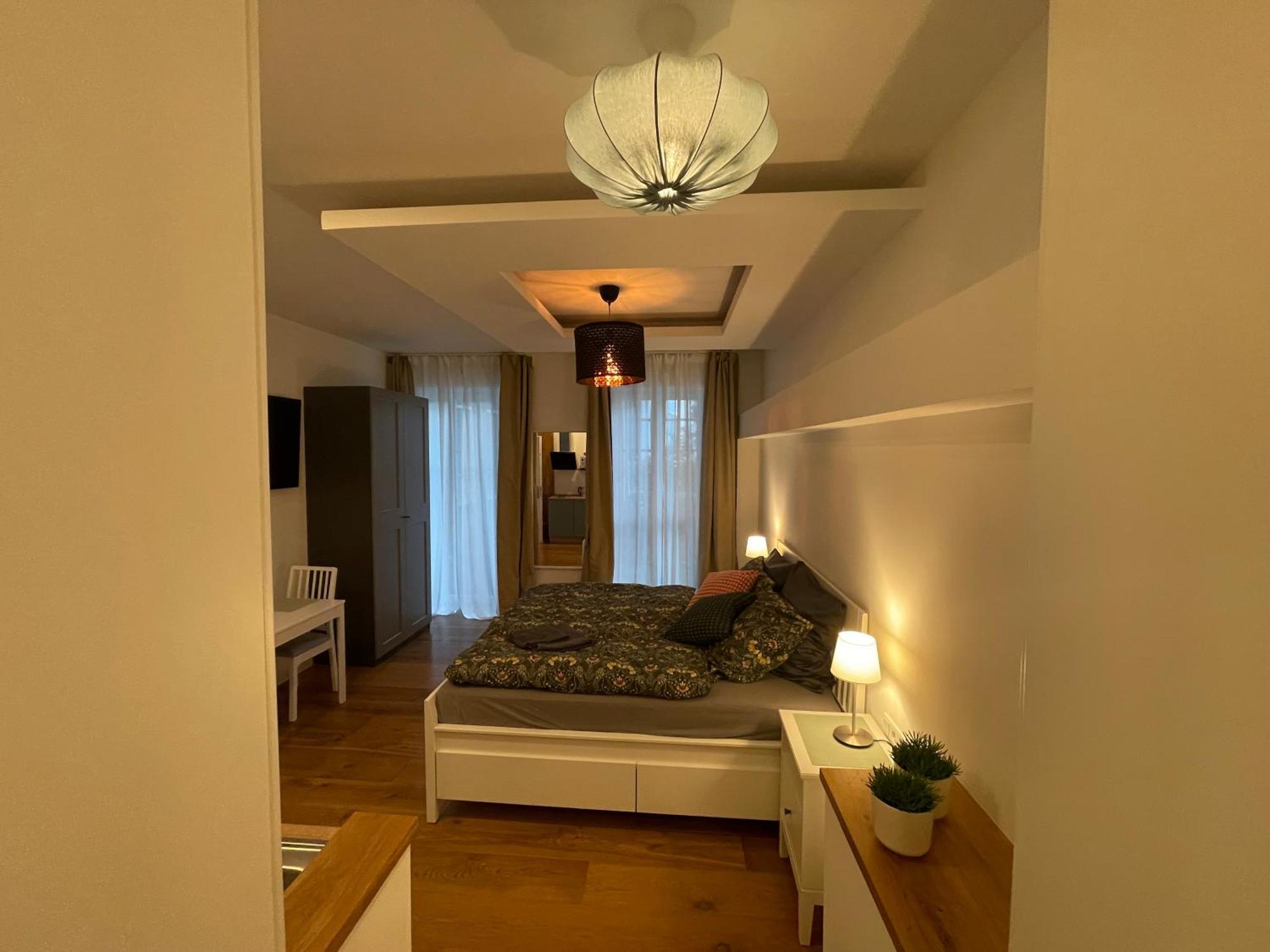 Boutique Hotel Pension Luisengruen Kueche 1Gbs Wlan Netflix Disney Magentatv ケムニッツ エクステリア 写真