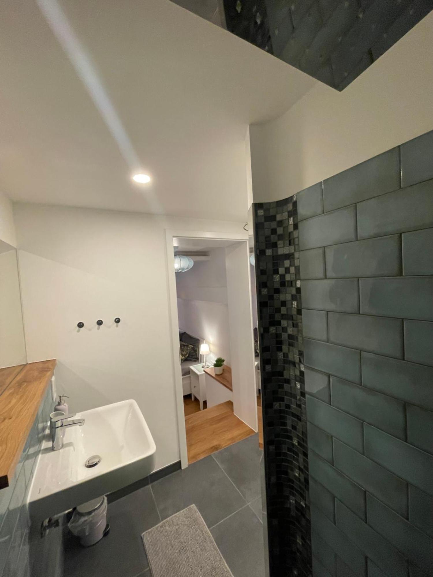 Boutique Hotel Pension Luisengruen Kueche 1Gbs Wlan Netflix Disney Magentatv ケムニッツ エクステリア 写真
