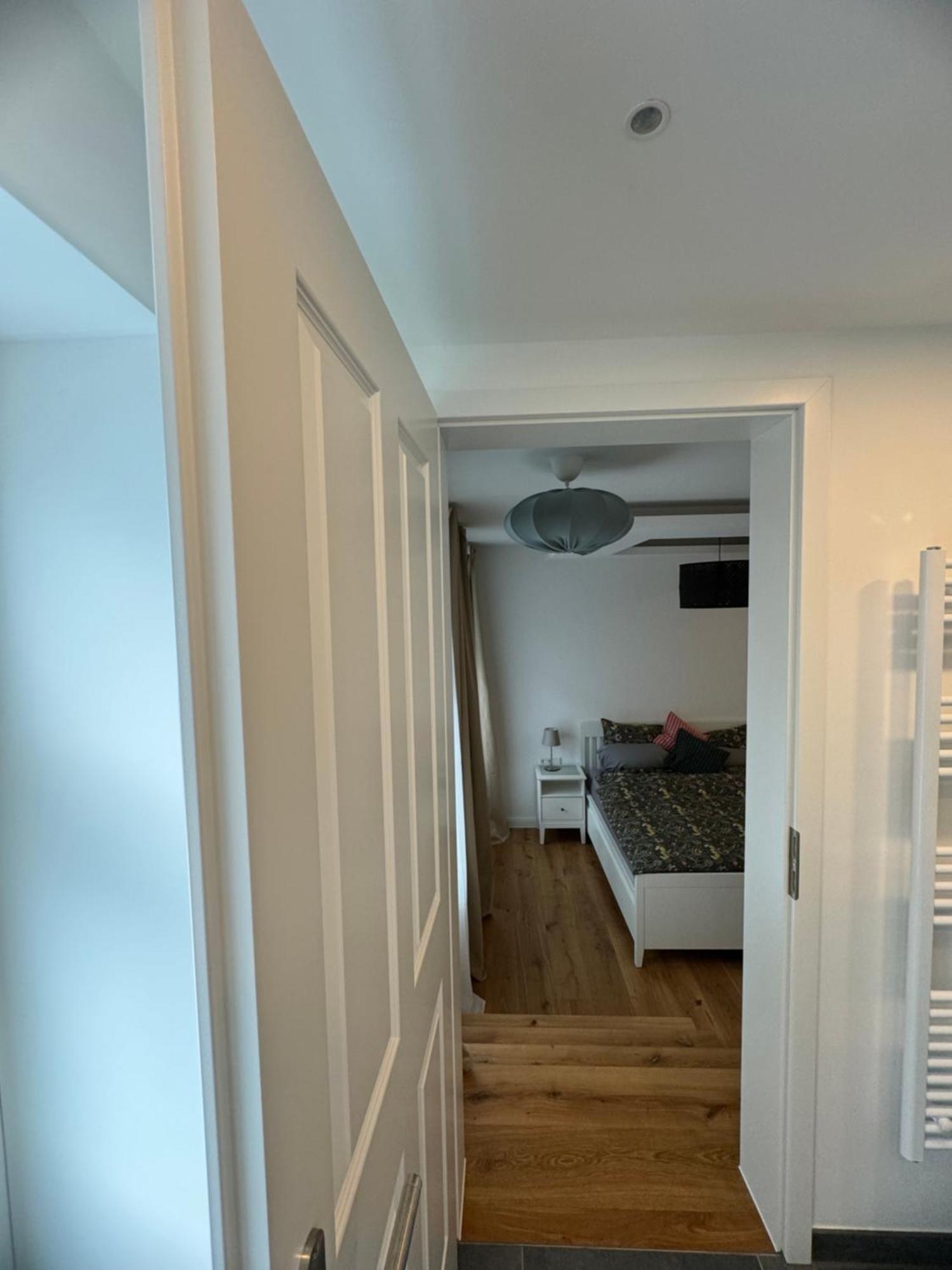 Boutique Hotel Pension Luisengruen Kueche 1Gbs Wlan Netflix Disney Magentatv ケムニッツ エクステリア 写真