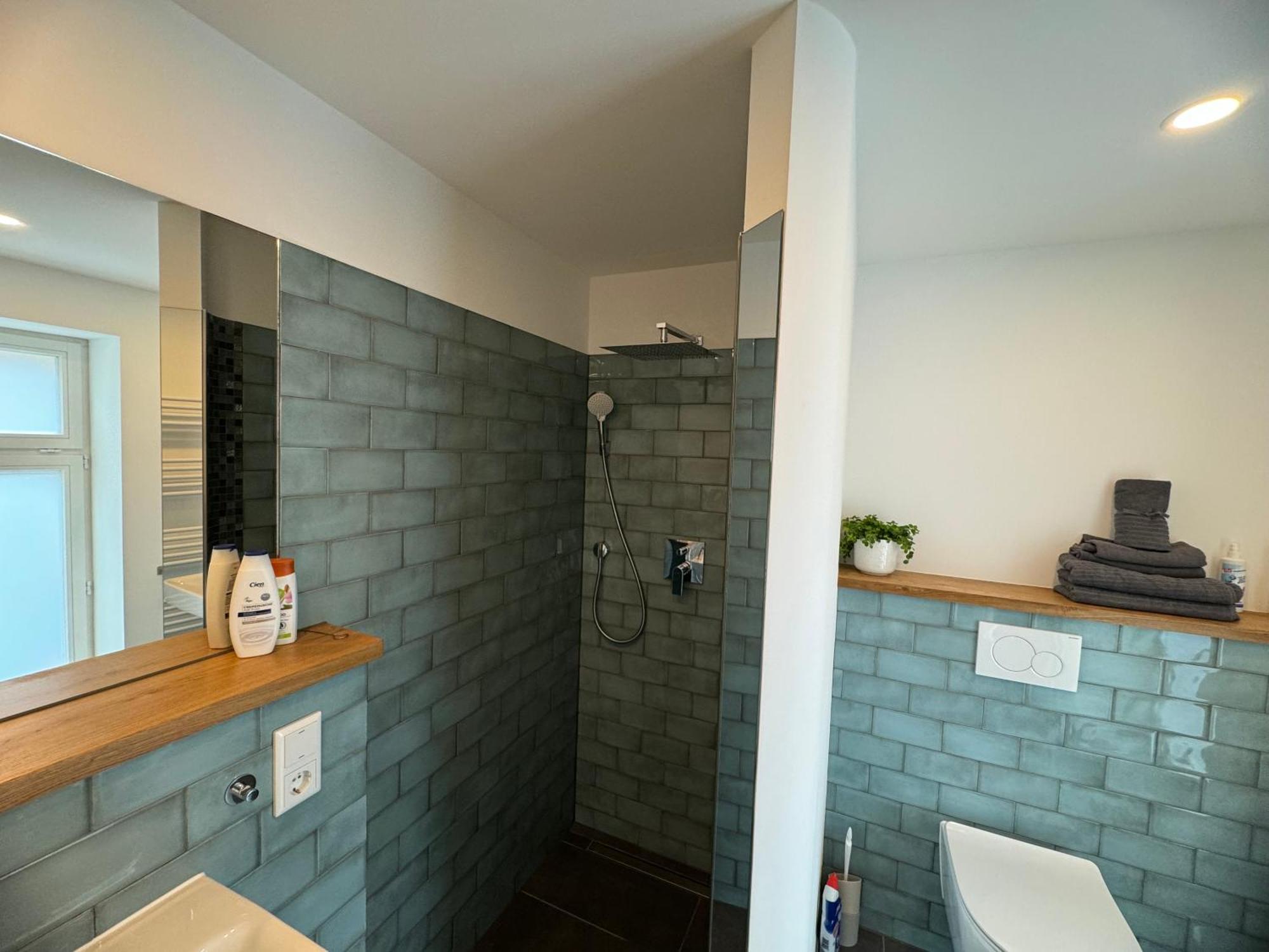 Boutique Hotel Pension Luisengruen Kueche 1Gbs Wlan Netflix Disney Magentatv ケムニッツ エクステリア 写真