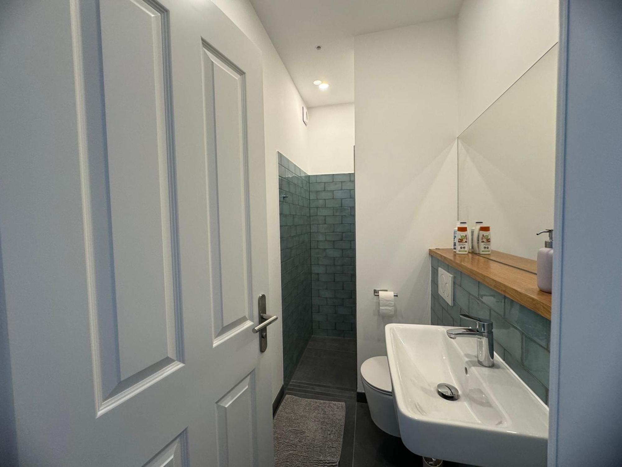 Boutique Hotel Pension Luisengruen Kueche 1Gbs Wlan Netflix Disney Magentatv ケムニッツ エクステリア 写真