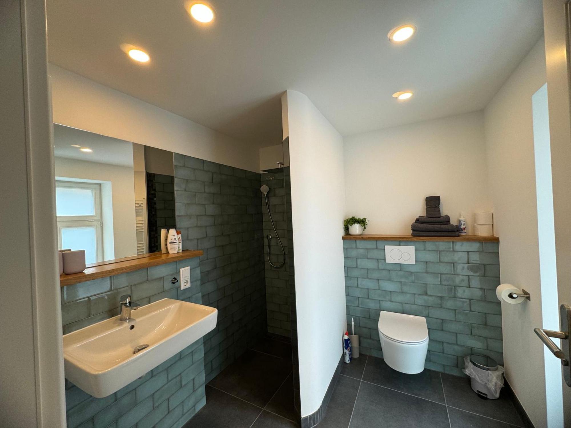 Boutique Hotel Pension Luisengruen Kueche 1Gbs Wlan Netflix Disney Magentatv ケムニッツ エクステリア 写真